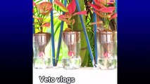 Amazing Make Beautiful EGG  Plant Pots From Discarded Plastic Bottles  New Ideas How To Make