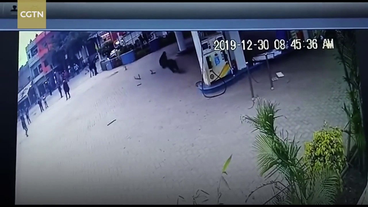Best videos, Top videos, Viral videos Funny videos no. 111