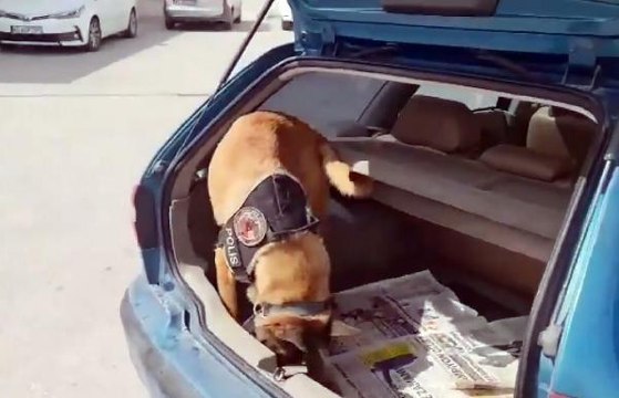 NARKOTİK KÖPEĞİ 'LUCKY', 5 BİN ADET UYUŞTURUCU HAP BULDU 2 GÖZALTI