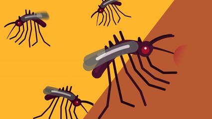 Here's what would happen if all insects on Earth disappeared