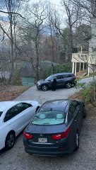 شاهد: يقف الدب في وضع مستقيم ، ويفتح باب السيارة لسرقة الوجبات الخفيفة