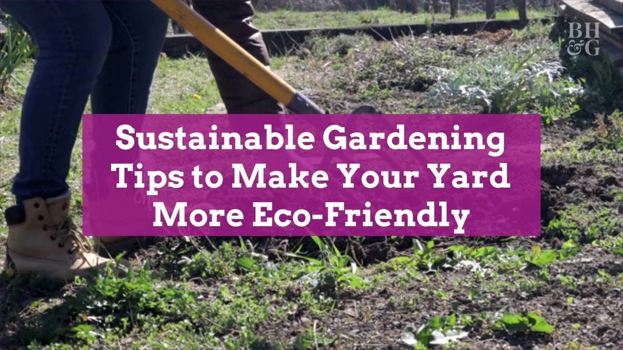 Sustainable Gardening Tips to Make Your Yard More Eco-Friendly