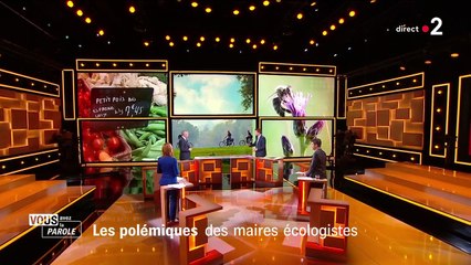 Aérien, menus sans viande, sapin de Noël... Face aux polémiques, Yannick Jadot estime que "les écologistes ne sont pas forcément les rois de la communication"
