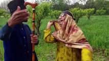 Da Baran Na Patedma Pashto Funny Video By Gull Khan Vines