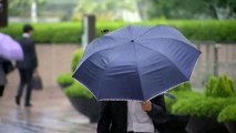[날씨] 낮까지 약한 비...오후 황사 유입, 미세먼지↑ / YTN