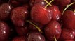 How to Pit Cherries 4 Easy Ways: A Step-by-Step Guide