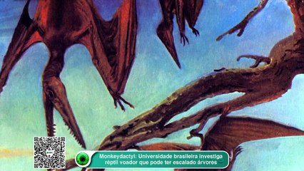 Monkeydactyl- Universidade brasileira investiga réptil voador que pode ter escalado árvores