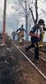 Bomberos quedan atrapados mientras sofocaban incendio forestal