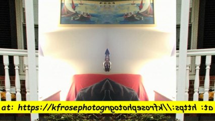 Job playing on 6th birthday mirror effect l Cats and animals