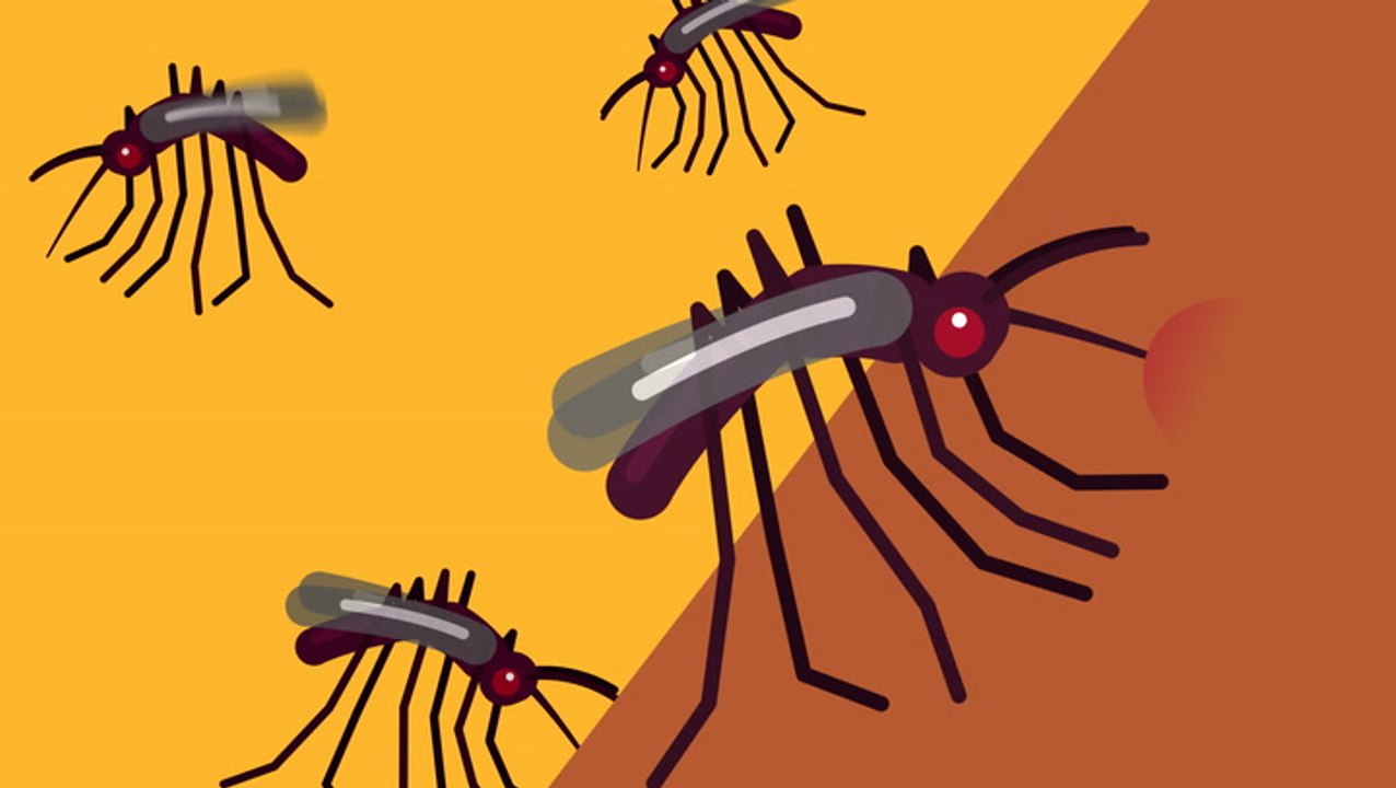 Here's what would happen if all insects on Eart...