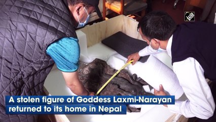 Stolen in 1984, figure of Goddess Laxmi-Narayan returns to its home in Nepal