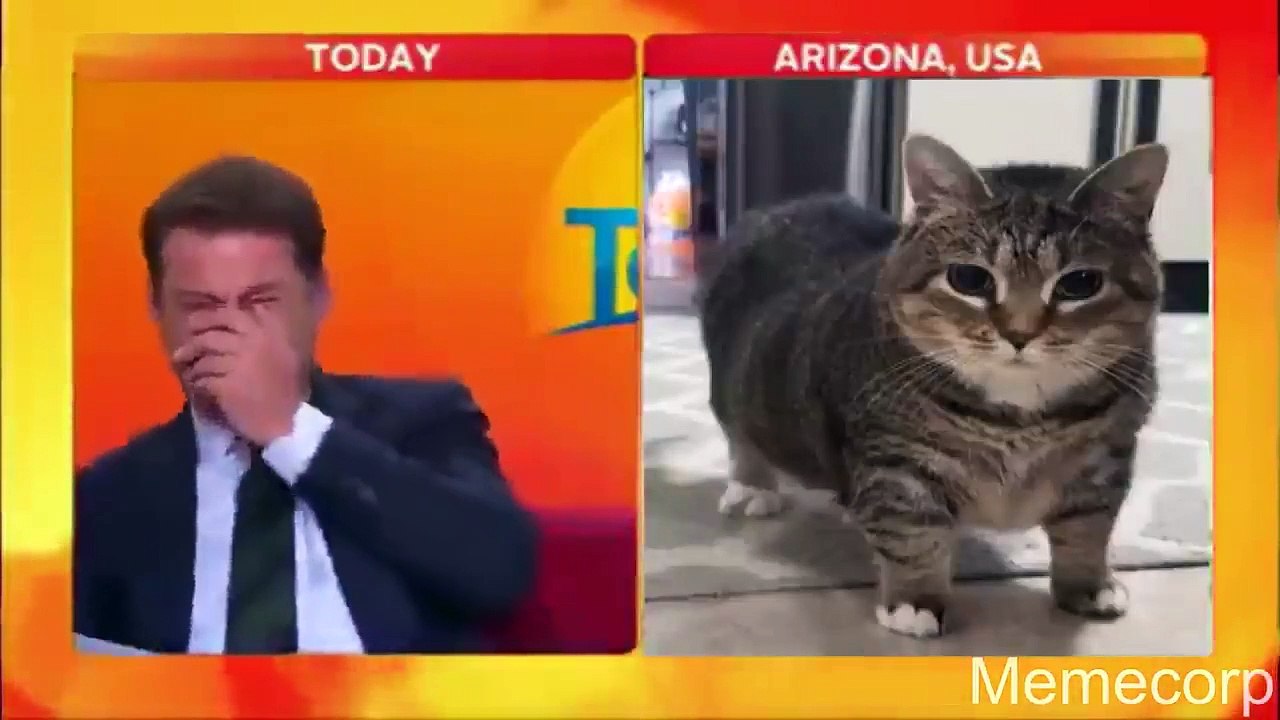memes that i found online