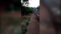 Morador reclama de matagal tomando conta de calçada na Rua Indira Gandhi, no Bairro Santo Onofre
