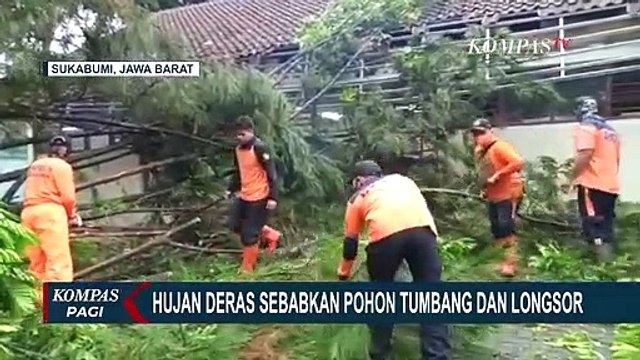 Hujan Deras dan Angin Kencang di Sukabumi Tumbangkan Pohon di Sejumlah Titik