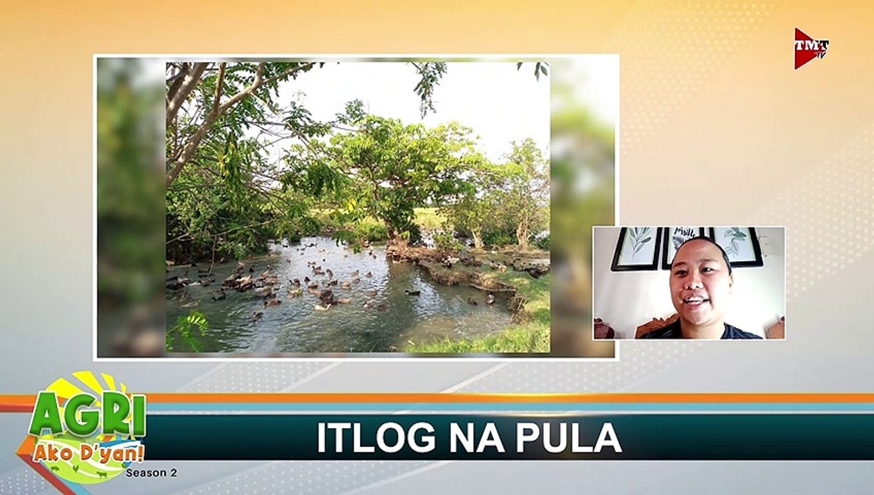 “ITLOG NA PULA” Ep.25 AGRI Ako D’yan