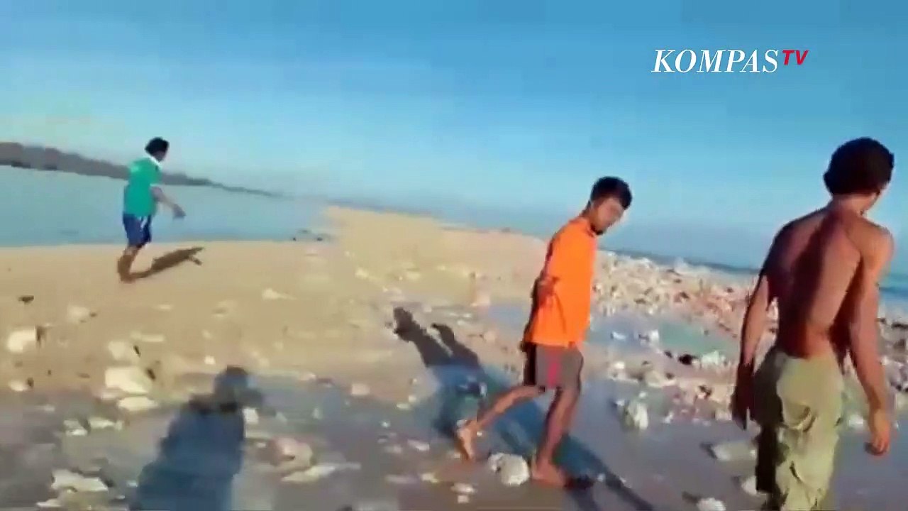 Penampakan Pulau Baru yang Muncul Pasca Badai Siklon Tropis Seroja di NTT