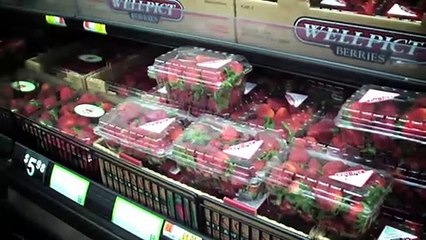 How To Puree Fruits And Vegetables That Are Great For Babies, Toddlers & Everyone Else!