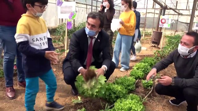 Minikler Serada Organik Sebze Yetiştiriyor