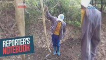 Reporter's Notebook: 18-anyos na babae, patay matapos matuklaw ng king cobra!