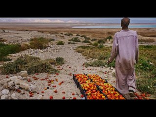 The Dead Sea is dying Drinking water is scarce Jordan faces a climate | Moon TV News