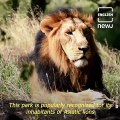 Gir National Park: An Abode For Asiatic Lions
