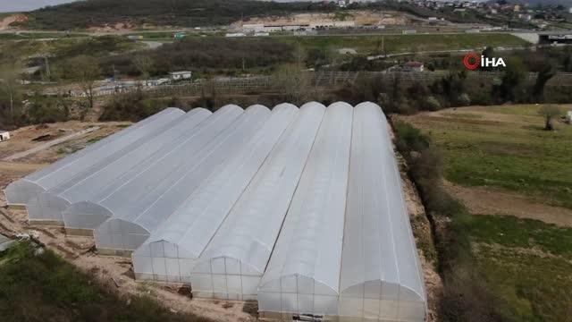 Beykoz'da Adil Sözleşmeli Tarım Projesi ile üretilen ürünler ihtiyaç sahipleriyle buluşturulacak