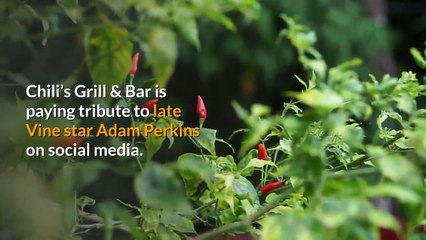 Chili’s pays tribute to Vine star and ‘welcome to Chili’s’ meme creator | Moon TV News