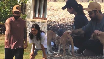 Anushka Sharma Virat Kohli ने ऐसे की Dogs संग मस्ती; Watch video | FilmiBeat