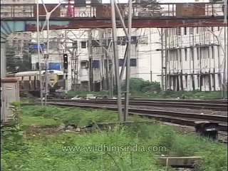 Mumbai's life line - local trains
