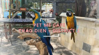 VIETNAM | Pet Cafe in Thao Dien | D 2 | Review | Quán Cafe Toàn Là Vẹt Xịn | PETME