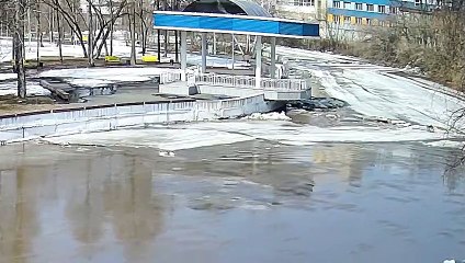 Dog Rescued From Thawing River Ice