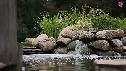 5 Minute Slow Music for Relaxation | Meditation | Mindfulness |  Sleep | Soothing | Study | Nature | Calming | Positive Energy | Self-love
