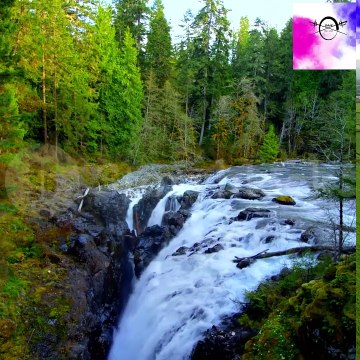 Nature by kids