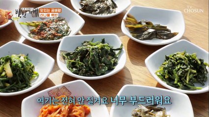 골라먹는 재미가 있는 백반 기본 ‘나물 반찬’~✧ TV CHOSUN 20210416 방송