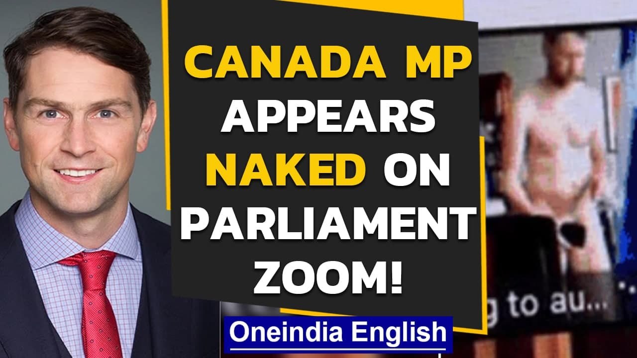 Canadian MP William Amos apologises after appearing naked on a