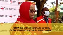 Kenya Red Cross Secretary-General speaks on food insecurity in the country-