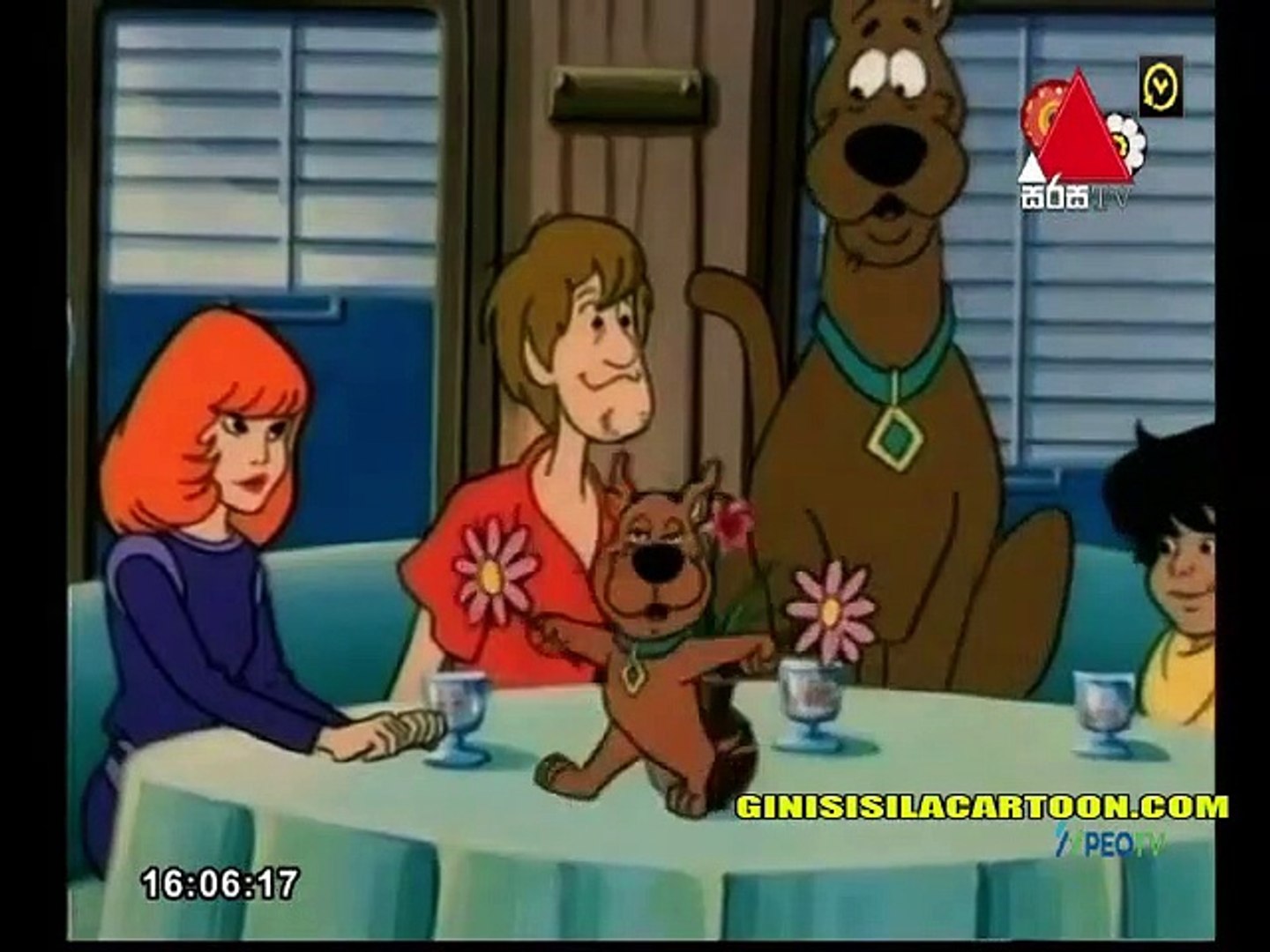 scooby 45