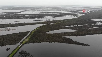 Kızılırmak Deltasındaki su seviyesinde sevindiren artış