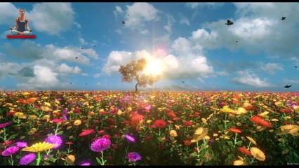 23 Minutes Calm Music || Meditation Music || Relaxing Music || Stay for Meditation