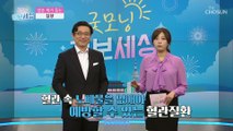 체내 염증 수치 감소↘ 뇌혈관 질환에 좋은 【침향】 TV CHOSUN 210420 방송