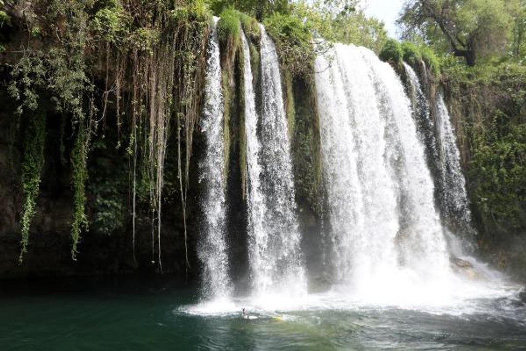 DÜDEN'E DALIŞ YAPTILAR 'BALIKLAR TAMAMEN ÖLMÜŞ' DEDİLER