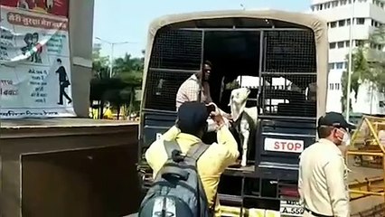 बकरे को भी बेवजह घूमने की मिली सजा, पढ़िए पूरी खबर