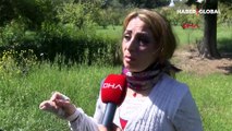 Adana'da koca dehşeti yaşayan İranlı kadın ülkesinde idamdan kaçtığı ortaya çıktı