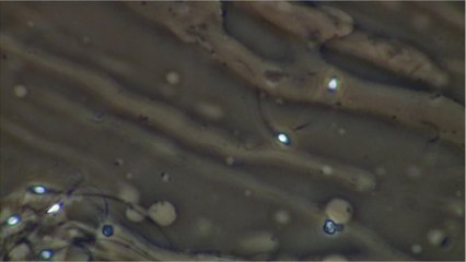 Is Semen Retention Really That Beneficial?