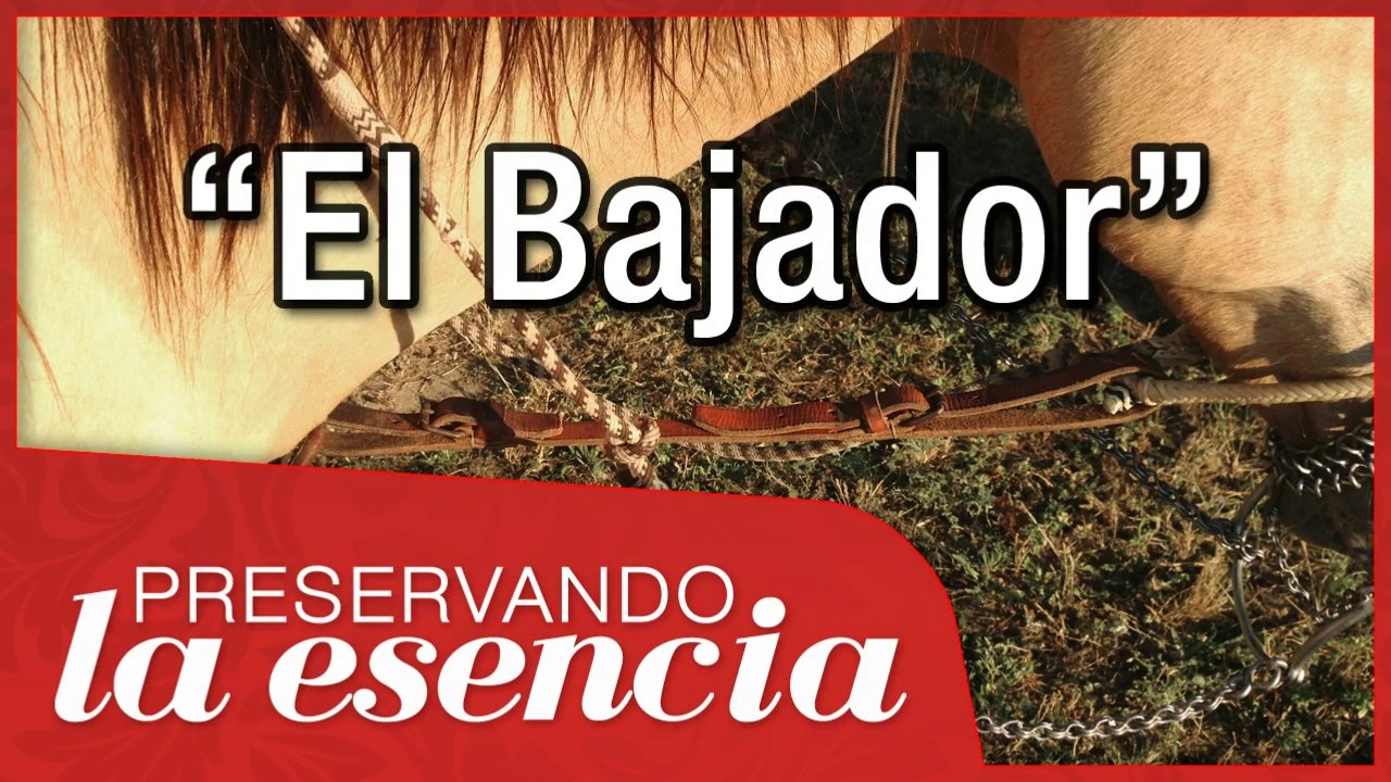 Porqué está MAL usar el BAJADOR
