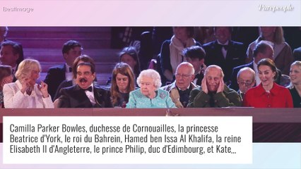 Kate Middleton et le prince Philip : retour sur leur étonnante complicité en images