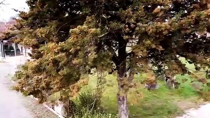 Capital :  Santé, maison, loisirs : dépensez moins, l'Etat s'occupe de vous !