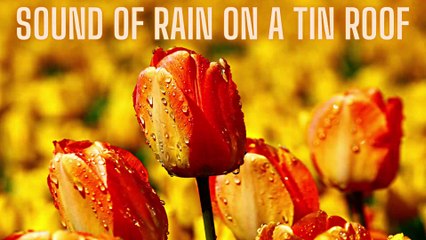1 hour relaxing music | Sound of Rain on a Tin Roof