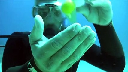 Deniz altında yumurta kırılınca bakın neler oluyor