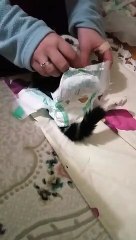 Felç olmaya başlayan kedinin bezlenme anı